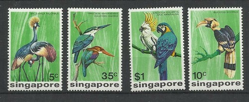 Oiseaux birds aves vogel - oiseaux,