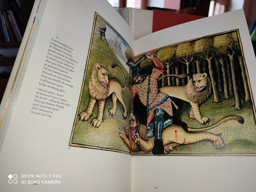 Bestiaire médiéval - ,