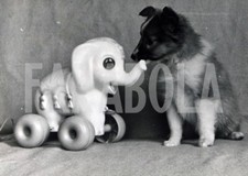 Photo de presse vintage