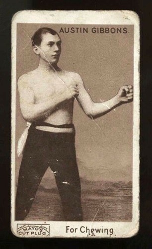 1890 n310 mayo - mayo’s, plug