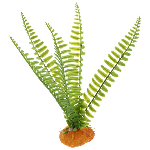 Accessoires reptiles décor - accessoires, de