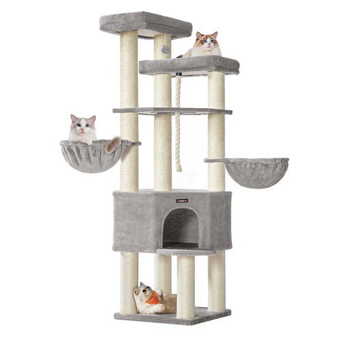 Grand arbre chat tour - grand, de