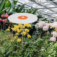 Toile d'ombrage légère et polyvalente pour plantes, protection solaire