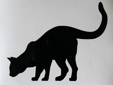 Sticker chat qui regarde vers