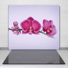 Cuisine planche cuisine