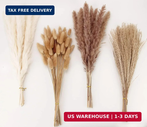 Dried pampas grass - pampas, decor,