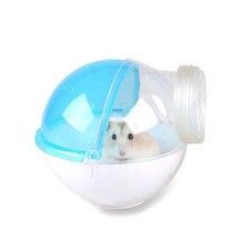 Hamster Souris Petit Animal de