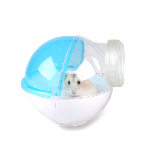Hamster souris petit animal - petit, de