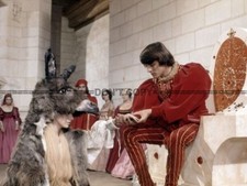 Photo Catherine Deneuve –