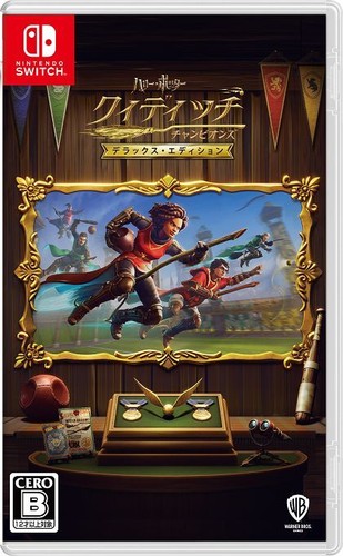 Harry potter quidditch - harry,