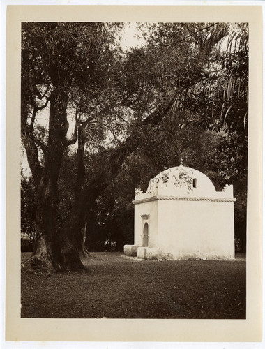 Algérie blida marabout - blida,, du