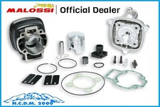 Groupe Thermique Malossi Ø 47