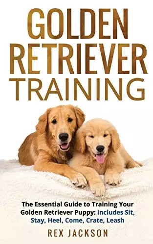 Golden retriever training the - retriever, training: