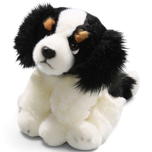 Carl dick cavalier king - carl,