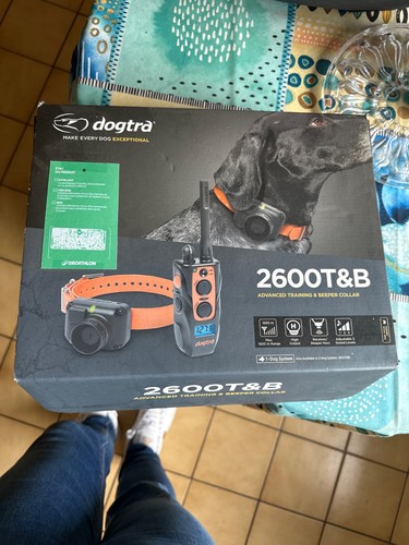Collier dressage dogtra - dressage,