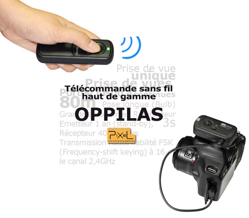 Pixel 221 - rw-221/s1,