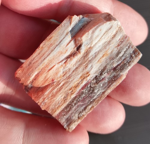29.05gr 37x27x18mm bois