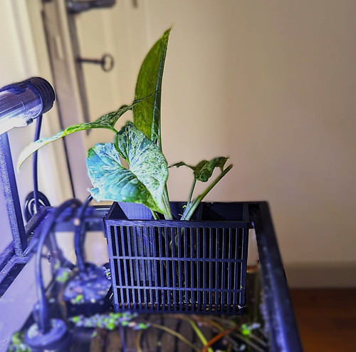 Support plante - de,