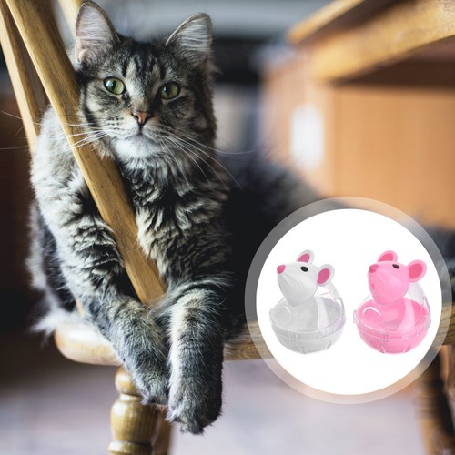 Pcs cat toys - toys, jouer