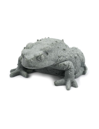 Realistic Sandstone Toad