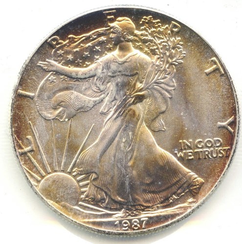 Dollar argent fin american - d'argent,