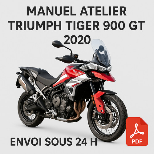 Manuel atelier triumph - manuel,
