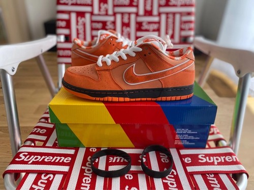 Nike dunk low concepts - nike,