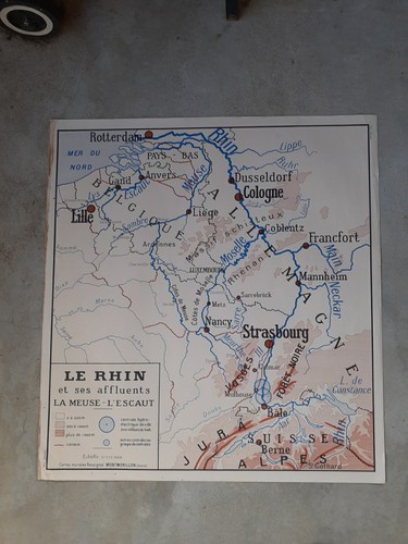 Affiche scolaire rossignol - affiche,