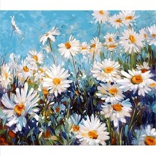 Numero Adult Painting 40×50cm Digital Painting Kit Daisy Acrylics P...