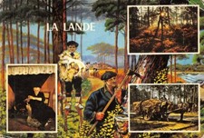LA LANDE - La Gaveuse d'Oie - la Forêt Landaise