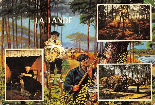 Lande gaveuse d oie - -,