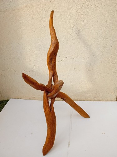 Sculpture bois flotté - en,
