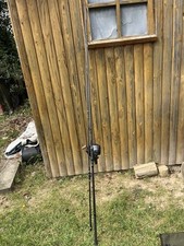 canne à pêche Carpe