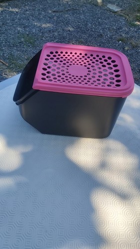Tupperware coffre oignon - tupperware,