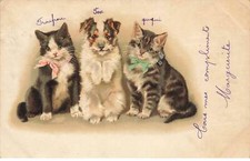 CHAT #32366 DEUX CHATS ET UN CHIEN AVEC DES NOEUDS