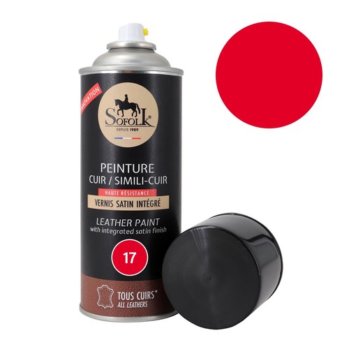 Peinture cuir canapé siège - peinture, canapé,
