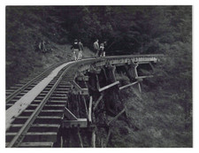 Taiwan, Alishan Excursion, Railroad Walk, Vintage Print, 1952 
