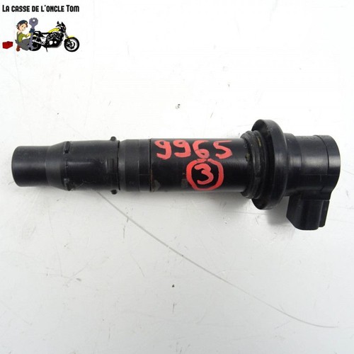 Bobine crayon yamaha 1000 fz1 - ,