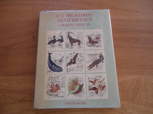 Migrations mysterieuses - migrations,