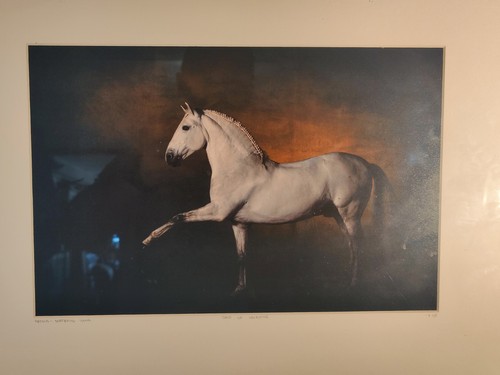 Photo cheval yann arthus - yann,