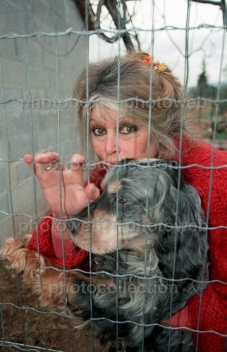 Brigitte bardot exclusive - -,