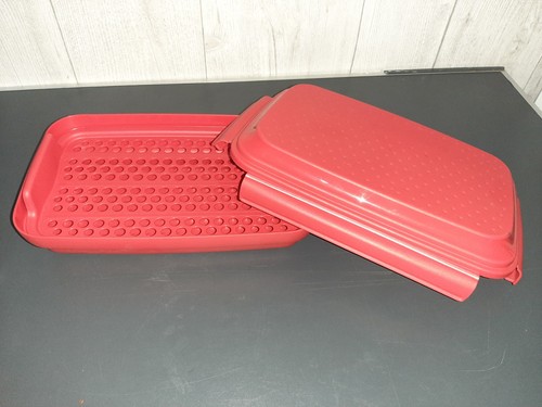 Tupperware smart prep marinade - smart,