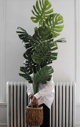Plante artificielle andrea - plante,