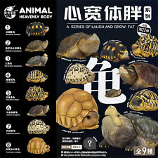 Animal Heavenly Body No.22 Tortoise Blind Box Model Chelydridae Turtle Decor