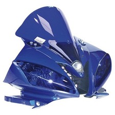 Yamaha YZF R6 2006-07 Bulle