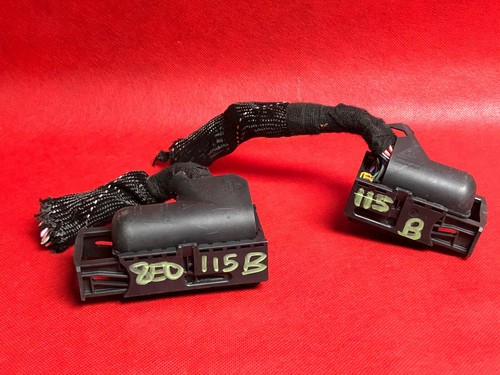Wiring harness plug - plug, connector