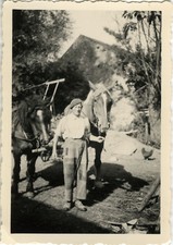 ANTIQUE PHOTO - VINTAGE SNAPSHOT - ANIMAL HORSE TRAIT AGRICULTURE PEASANT-HORSE