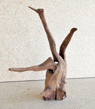 Racine mangrove de Guyane aquarium 16 cm/23 cm