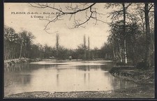 CPA Plaisir, L´Étang, Bois