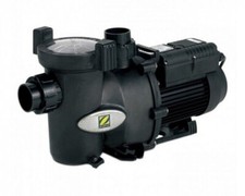 Pompe de piscine Zodiac FloPro